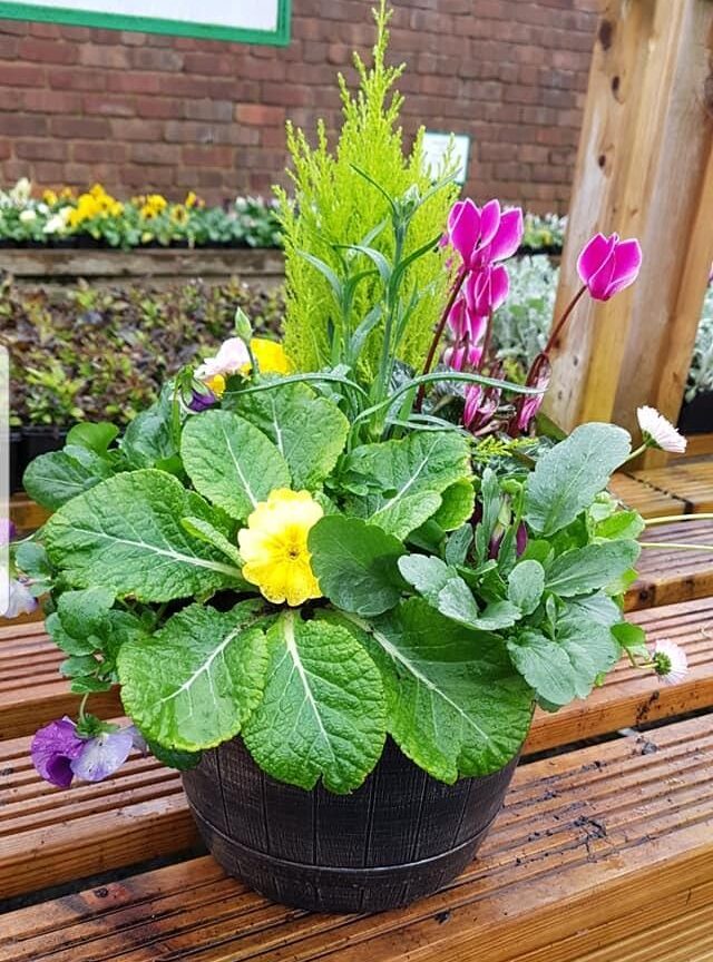 Mixed planted outdoor barrel